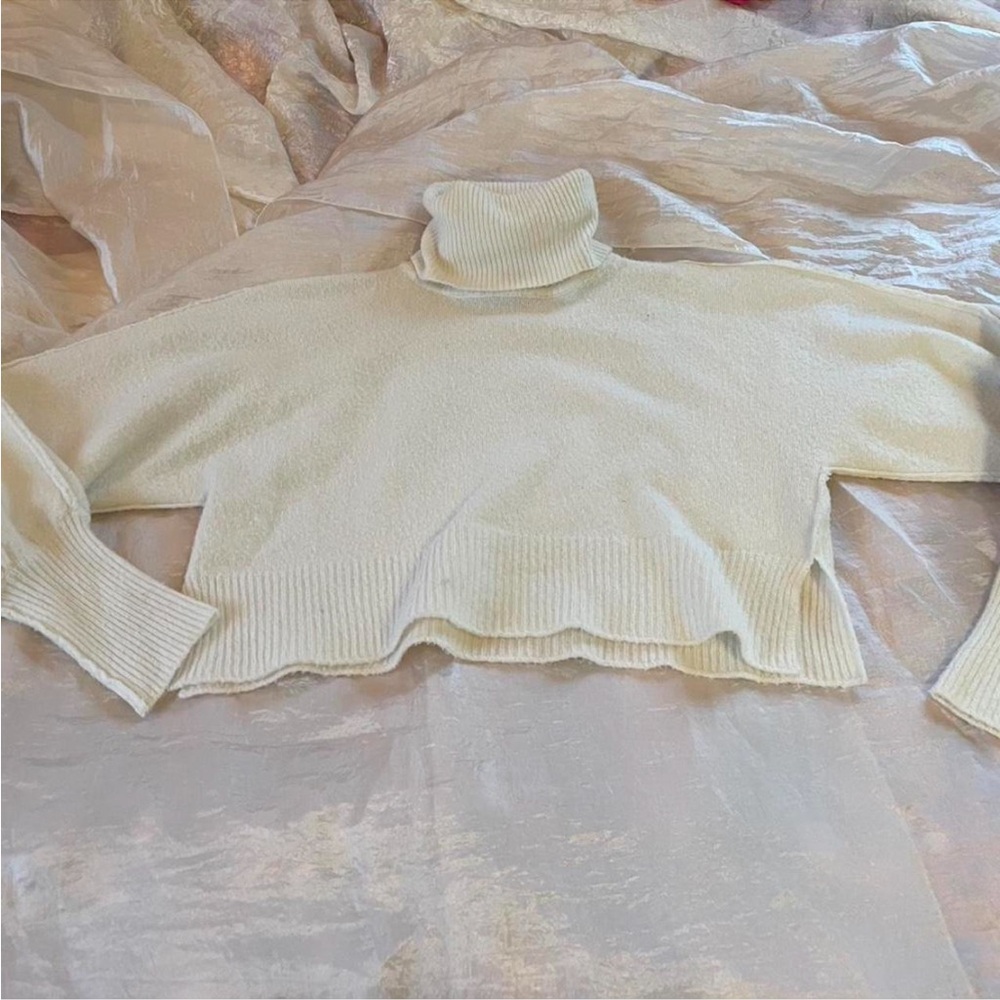 Urban Outfitters Cropped Turtleneck